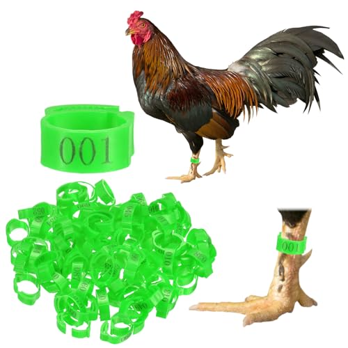 M METERXITY 100-Pack Adjustable Chickens Leg Bands, 17-22 mm Plastic Poultry Identification Chicken Leg Rings for Turkey/Duck/Goose/Chicks, Colorful Numbered Foot Clip on Tags [Green] - color: Green