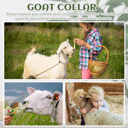 Misdary 4 Pcs Goat Show Collars, Adjustable 14"-24" Iron Chain Halter for Sheep, Horses, Dogs, Cows & Calves, Farm Animal Supplies Accessories Animal Lovers Gift (14'',Black) - color: Black
