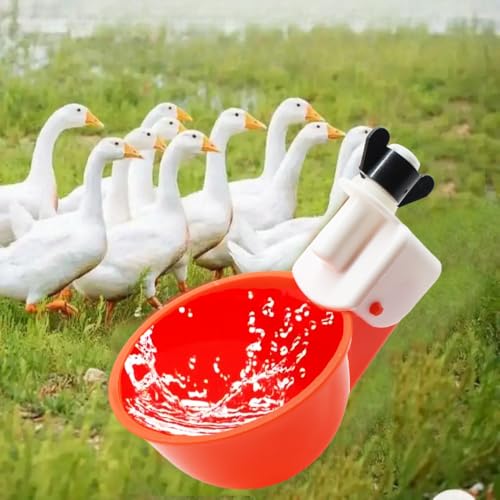 Chicken Waterer Cups, 24 Pack Poultry Water Feeder with Drill, Large Poultry Waterer Automatic Waterer for Chicken Coop, Duck, Chicks, Goose, Turkey, Bunny, Bird (Red, 24 Pack) - size: 24 Pack