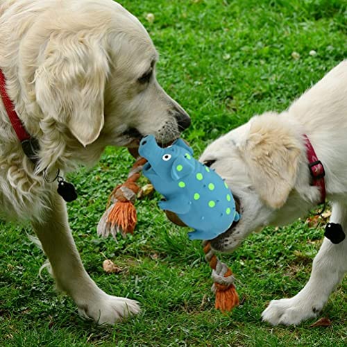 ASHATA Rubber Pig Squeaky Dog Toy Interactive Chew Toy for Dogs,Protect Teeth and Relieve Boredom for Small Medium Large Dogs (ASHATAbwazkre9vu-10344695)