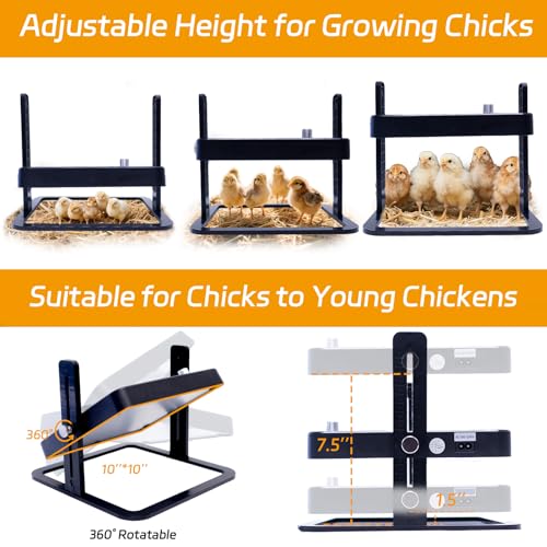 UL/ETL Certified Chick Brooder Heater Plate, 10" x 10" Adjustable Height & Temperature (113°F-158°F) Poultry Heating Plate, Safe & Energy-Efficient Heat Lamp Alternative for Up to 20 Chicks