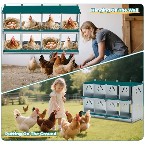 Yafylly Chicken Nesting Boxes, Wall Mountable Metal Chicken Coop Nesting Box, Easy Egg Collection Roll Away Nesting Boxes Chicken, Roosting Boxes for Chickens, 8 Compartments - color: Green, size: 8 Compartment