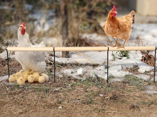 Extra Long Chicken Perch Toys, Wooden Chick Perch Stand with Metal Ground Plug, Outdoor Birds Training Platform, Chicken Coop Accessories, Suitable for Poultry Rooster Chicks Large Bird Chicks Parrot - size: 44.9 Inch Long