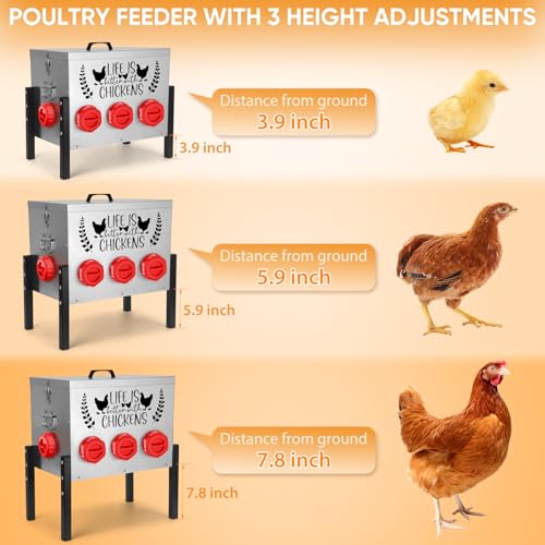 TGEYD 50LB Large Automatic Chicken Feeder – 8 Feeding Ports, No-Waste Poultry Feeder, with Adjustable Legs & Locking Lid - color: Galvanized gray