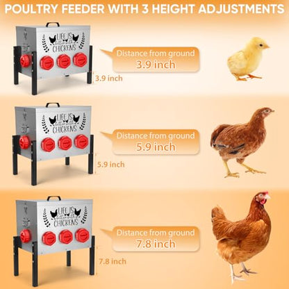 TGEYD 50LB Large Automatic Chicken Feeder – 8 Feeding Ports, No-Waste Poultry Feeder, with Adjustable Legs & Locking Lid - color: Galvanized gray