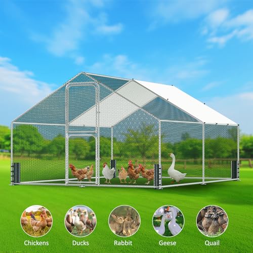 Large Metal Chicken Coop, Walk-in Chicken Run with Feeding Door, Security Lock and Cover, Outdoor Duck/Rabbit Cage Poultry Pen for Backyard, Farm, Yard (Silver - Spire Roof, 13.1 x 9.8 x 6.5 FT) - size: 157.4"L x 118.1"W x 78.7"H