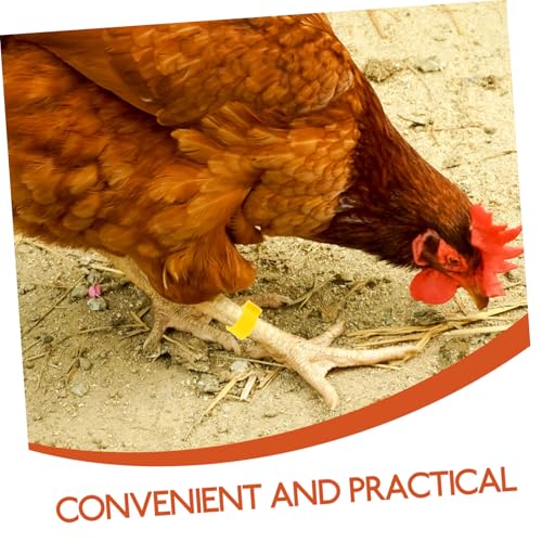 100Pcs Adjustable Chicken Leg Bands Open-Style Clips for Poultry Identification Colorful Marking Rings for Ducks Geese and Gamefowl Color