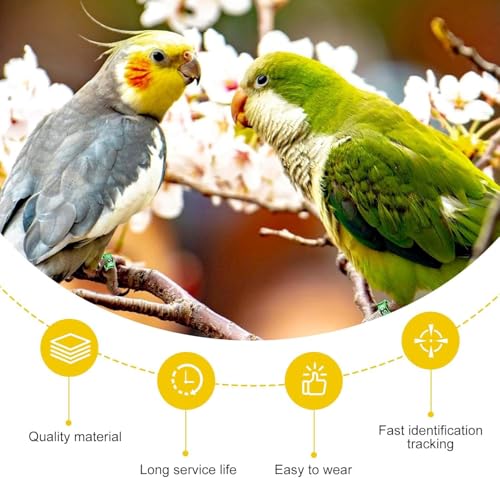 Open Bird Foot Ring, Aluminum Alloy Split Bird Leg Ring for Parrots,Hibiscus,Peonies,Pigeons (6.0mm,50pcs) - color: ID6.0, size: Open