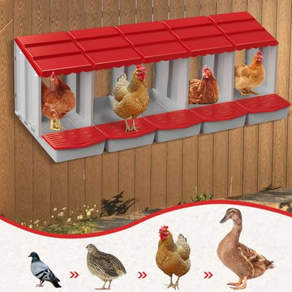 Chicken Nesting Boxes,5 Hole Nesting Box for Chicken Coop, Rolling Egg Collection and Protection Nesting Boxes - size: 5 Compartment