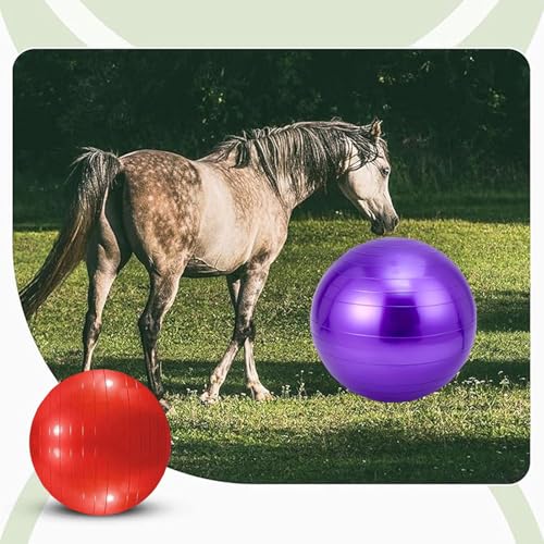 2pcs Horse Toy Balls with Inflation Pump, Suitable for Outdoor Entertainment, Training Balls for Horses and Goats (55cm/21.65inch) - size: 55cm/21.65inch