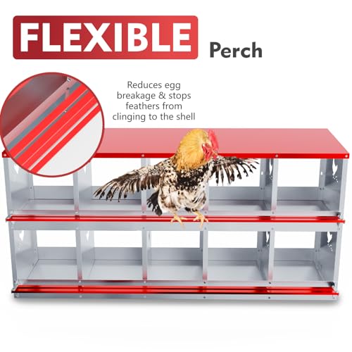 Chicken Nesting Boxes - 10 Compartment Metal Poultry Nest Box Wall Mount for Chickens, Hens, Ducks - Easy Egg Collection - Large Vented Holes Chicken Coop Equipment (10 Compartment)