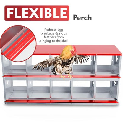 Chicken Nesting Boxes - 10 Compartment Metal Poultry Nest Box Wall Mount for Chickens, Hens, Ducks - Easy Egg Collection - Large Vented Holes Chicken Coop Equipment (10 Compartment)