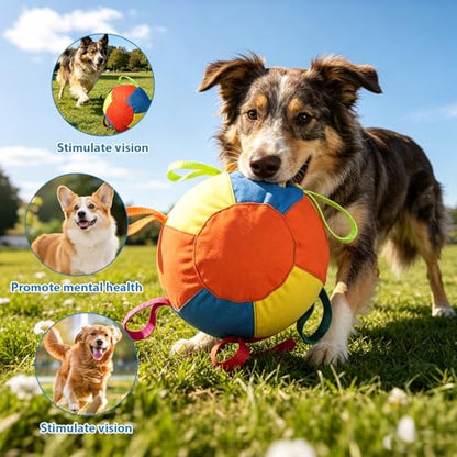 Calming Jumbo Ball for Dogs Durable Tear-Resistant Inflatable Big Ball Tough Herding for Play Exercise Toy with Heavy-Duty Handle Cover & Pump Fun Doggy Herding Dog Giant Tennis-10