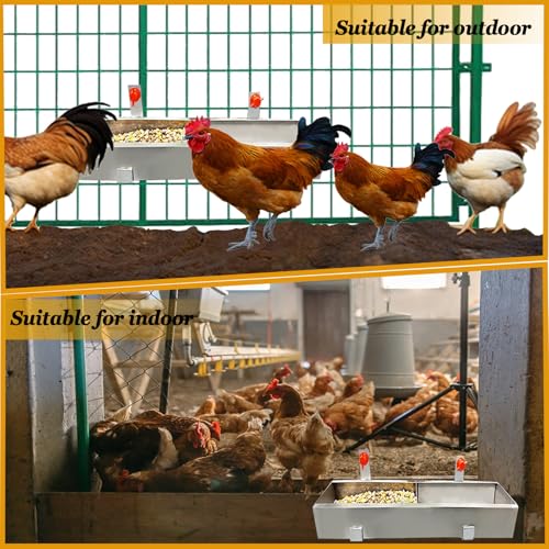 2 Pack Multifunctional Chicken Feeder, Hanging Chicken Feed Trough, Stainless Steel Trough, Chicken Feeder and Waterer Set, for Poultry Livestock. (40 * 11 * 7cm)