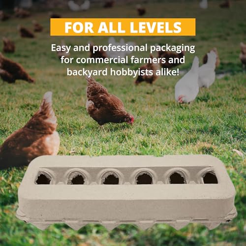Stromberg's Jumbo Blank Egg Cartons, Bulk Pack for Jumbo Eggs, Perfect for Custom Branding, Safe & Secure Egg Storage, Convenient Stacking for Easy Transport and Storage, 200 Pack