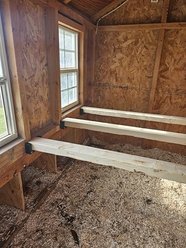 Chicken Coop Roost Brackets – Heavy-Duty Perch Mount/Holders for Poultry, Ducks, and Small Birds – Easy Install – Coop Upgrade Hardware - Pair of 2 *Hardware Included* for 2x3 Lumber