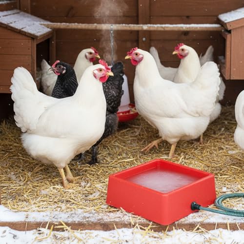 Farm Innovators D-19 1.25 Gallon Electric Heated Chicken Pet Animal Water Bowl with Thermostatic Control and Anti Chew Cord Protector, 60 Watt, Red - size: 5 Qt