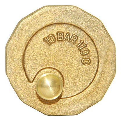 Beduan Brass 10500-VE Automatic Float Valve, 3/4" Male Thread Air Release Valve Air Bleeder Valve Vent Valve - size: 3/4" Male