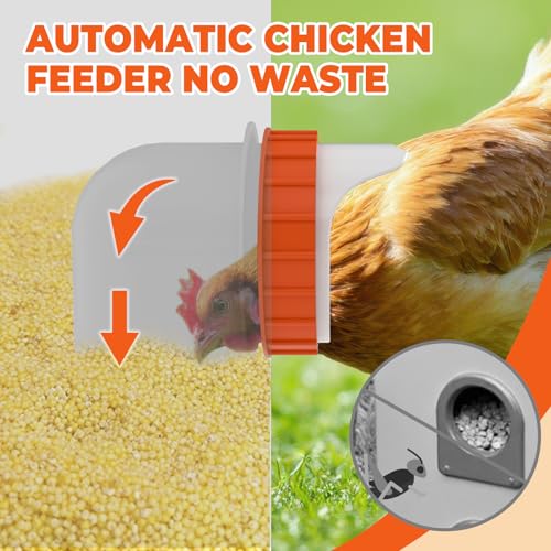 Metal Chicken Feeder No Waste 10 Ports Automatic Poultry Feeder Large Capacity 85 Pounds with Latch & Handle for Chickens Bantams Pheasants Poultry Coop Weatherproof - size: 10 Ports (85-120 LBS)