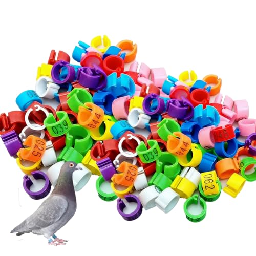 10 Color Bird Leg Rings 100 Pieces, 8/10/12mm Color Numbered Chicken Identification Leg Band Clip Poultry Leg Ring Tags for Chicks, Ducks, Bantams, Pigeons 10mm (0.39in) 001-100 - color: 10mm (0.39in)001-100