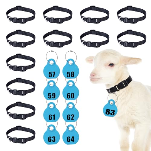 28 Pack Goat Collar with Number Tag Adjustable Nylon Sheep Collar Set Pet Livestock Plastic ID Number Tags Quick-Release Buckle for Small Farm Animal Sheep Calf Goat(Blue,No.57-84) - color: Blue