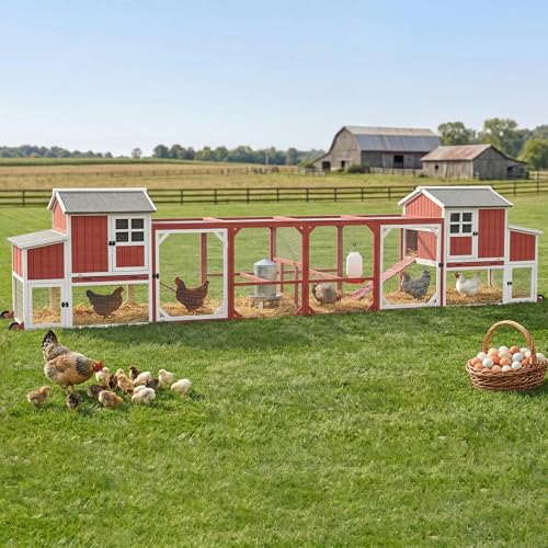 187" L Extra Large Chicken Coop and Run for 8-12 Chickens, Outdoor Chicken Tractor with 6 Nesting Box, Wooden Hen House Quail Hutch with Wheels (Set of Two) - size: 187.0"L x 32.0"W x 45.0"H