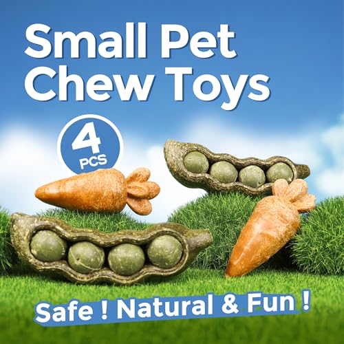 TEEWY 4PCS Guinea Pig Toys, Prevent Teeth Overgrowth, Natural Vegetables and Timothy Grass, Hamster Chew Toys, Chinchilla Toy, Peapod and Carrot Chew Toy Set - style: 4PCS-Peapod and Carrot