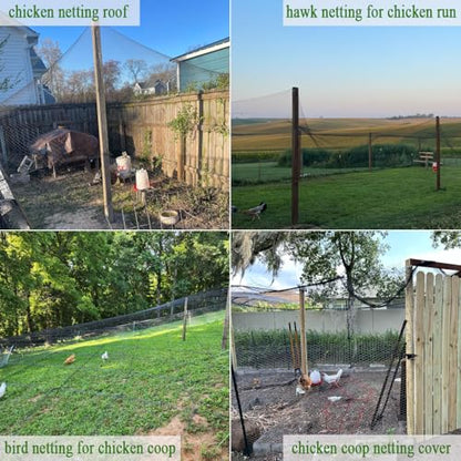 Bird Netting for Chicken Coop 15x15Ft, 1/2" Mesh, Strong Woven Poultry Netting Roof Cover for Chicken Run, Heavy Duty Bird Net for Fruit Trees, Blueberry, Vegetables, Garden Protection - size: 15x15Ft-1/2"