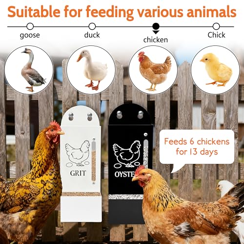 2Pack Chicken Grit and Oyster Shell Feeder, Poultry Feeder with Visual Window, No-Mess Weatherproof, Metal Hanging Gravity Chicken Feeder, Chicken Coop Accessories (Combo-Black/White) - color: Combo-Black/White