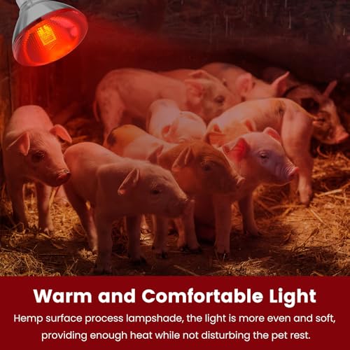 DaToo Infrared Heat Lamp Bulb for Chickens Red Heat Lamp Flood Light Heat Lamp Bulb 150 W Heating Bulbs for Brooder Coops Pets Chicks Reptiles Food Service (2 Pack) - size: 2 Pack