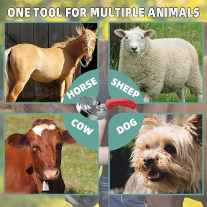 Curry Comb Kit, 6 Ring Curry Comb & Rubber Brush & Horse Grooming Mitts, Curry Comb Kit for Grooming Horses, Dogs, Goats, Cattle, Cow, Donkey Supplies - color: Curry Comb Kit(3 Pcs)