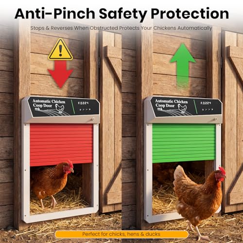 Automatic Chicken Coop Door Solar Powered, Roll-Up Auto Chicken Door with Timer & Light Sensor, Anti-Pinch Safety, Weatherproof Aluminum Remote Control