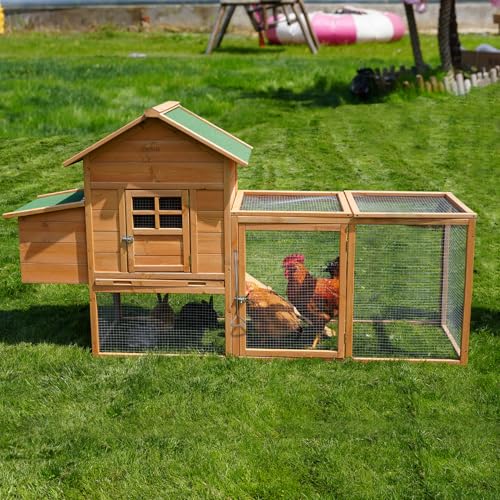 Morngardo Chicken Coop for 2-4 Chickens Wooden Outdoor Poultry Cage Rabbit Hutch with Ramp, Nesting Box, Tray, Roosting Bar, 4 Access Areas - size: 2-4 Chickens