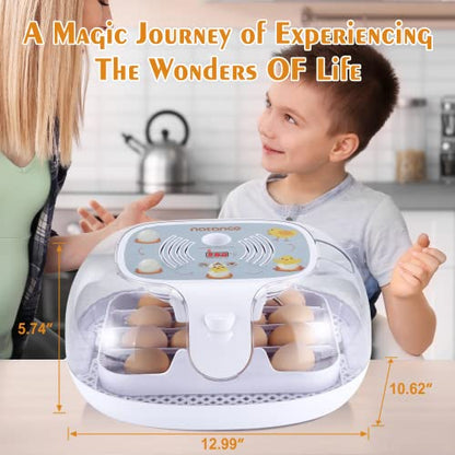 Egg Incubator with Automatic Egg Turner, Temperature Control, and Egg Candle Function - Perfect for Hatching Chicken, Duck, and Turkey Eggs at Home or on The Farm