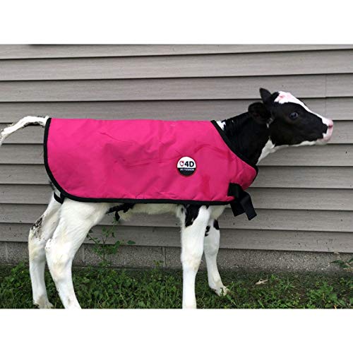 Calf Coat Small for Jersey calves Blue
