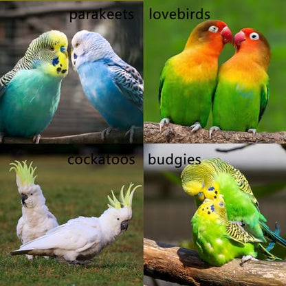 Stainless Steel Bird Ladders 9-Step Parrot Ladder Hanging Bird Cage Climbing Toys with Hooks Birds Exercise Toy for Parakeets, Parrots, Cockatoo，Rust-Resistant and Easy to Clean (1 PCS) - color: 1 PCS