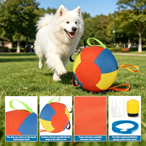 ZRW Calming Jumbo Ball for Dogs,Herding Ball for Dogs,Durable Tear-Resistant Inflatable Big Ball,Resistant Inflatable Big Ball with Handle Cover & Pump for Play & Exercise Dogs-(9.84in)