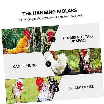 Toddmomy Creative Wooden Hen Mirror Toy Hanging Rooster Reflection Entertainment for Chickens Promotes Fun Healthy Growth Easy Installation for Coop Cage