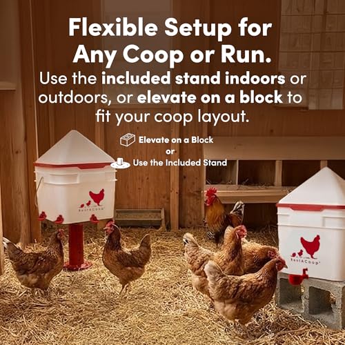 RentACoop 2 Gallon Chicken Waterer with 4 Auto-Fill Water Cups, 4 Horizontal Nipples, and Custom Adjustable Stand; BPA-Free; Large Capacity Poultry Waterer- Center Placement