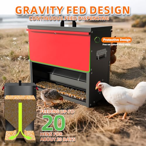 100lb Capacity Chicken Feeder, Metal Poultry Feeder, No Waste Waterproof Chicken Feeder, Suitable for Geese, Ducks, Turkeys, Quails - size: 100LB