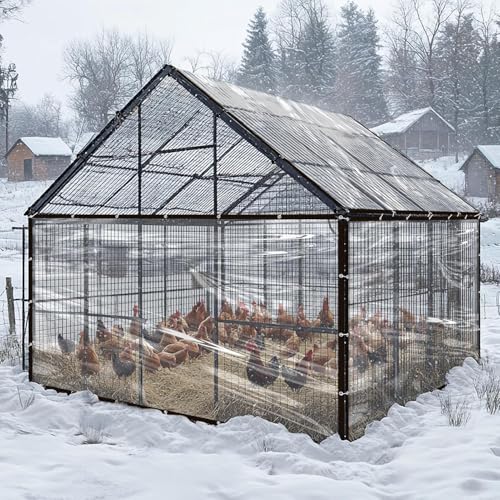 6.6x10Ft Chicken Coop Cover for Rain - Waterproof Durable Chicken Run Tarp with Elastic Cords & Rope, Easy to Install for Large Chicken Cage Walk-in Chicken Run Pen