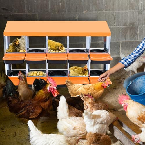 Chicken Nesting Boxes, 10 Hole Metal Chicken Laying Box with with Removable Trays and Roll Out Egg Collection for Chicken Coop, Orange - color: Orange, size: 56.7"L x 17.5"W x 11.0"H