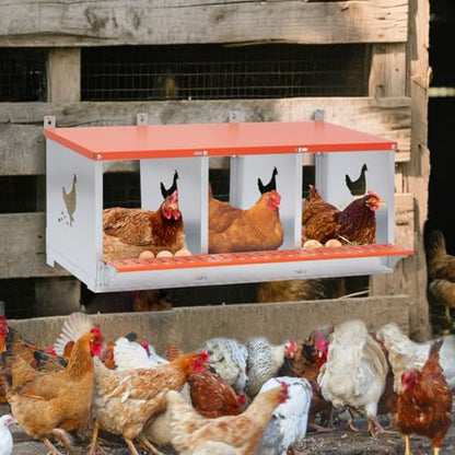 3-Bay Metal Nest Box-Wall Mount for Hens/Ducks - Orange+Silver - Vented Galvanized Steel - Outdoor Coop - Durable Egg Collection