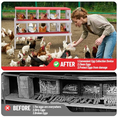 IDEALHOUSE Chicken Nesting Box, Galvanized Steel Laying Box with Rustproof & Roll-Away Egg Design, for Hens, Red 10 Compartment with Bracket - color: Red, size: 10 compartments (with bracket)
