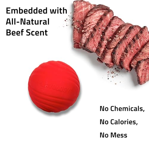 Playology Dog Toys | Dual Layer Ball Durable Chew Toy for Tough Chewers | Beef Scented Medium Dog Toy | Chew Toys for Dogs - size: Medium, style: Beef