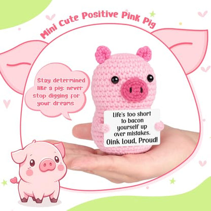 GevGuxLuo Mini Inspirational Birthday Gifts for Women, Back to School Cheer Up Support Graduation Birhday Gifts for Teen Girl Students Teacher Friend Coworker, Positive Handmade Crochet Pink Pig - style: Bacon