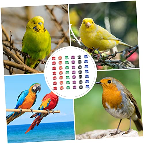 BESPORTBLE 50Pcs Closed Bird Leg Rings Numbered Parrot Pigeon Foot Bands Sturdy Alloy Identification Rings for Small Birds for Breeding and Identification