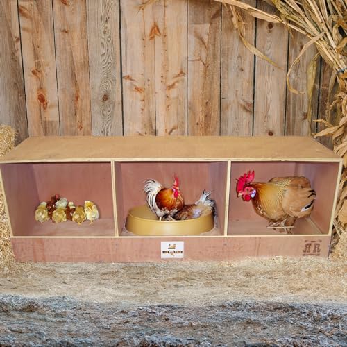 Rugged Ranch TRIPLEX RuggEgg Primitive Barn Wooden Chicken Coop Triple Nesting Egg Boxes for 3 Hens or Chickens, Natural Brown