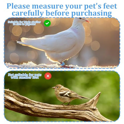 100 Pcs 8mm Birds Leg Rings, 10 Colors Readable Numbered Quail Pigeons Chick Identification Leg Bands Clip on Leg Rings for Baby Chick Finch Bantam Dove Small Birds