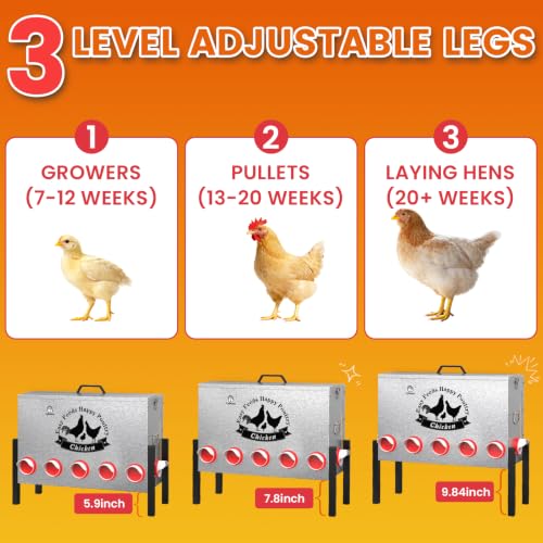 21Gal Large Automatic Chicken Feeder - 12 Port No Waste Poultry Feeder, Rust-Proof Alloy Steel with Locking Lid & Adjustable Legs for Chickens, Ducks, Geese, Poultry - size: 21GAL-110LB